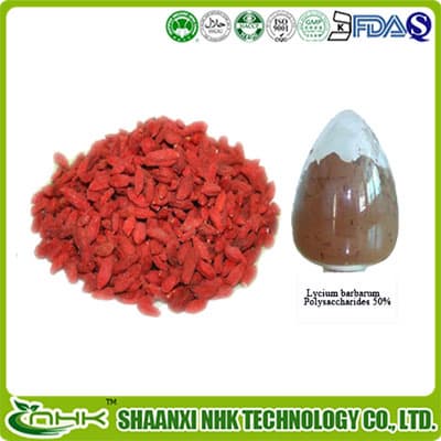 Natural dried goji berry extract powder_ wolfberry extract
